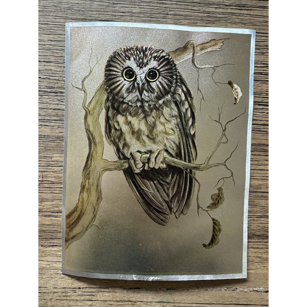 Vtg MCM 1980 Brown Owl Foil Artwork Decor Made In England Aesthetic Impressions